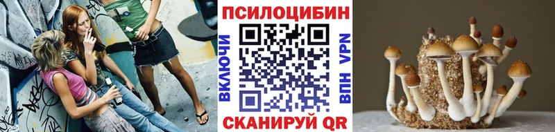 Псилоцибиновые грибы Psilocybine cubensis  Сим 